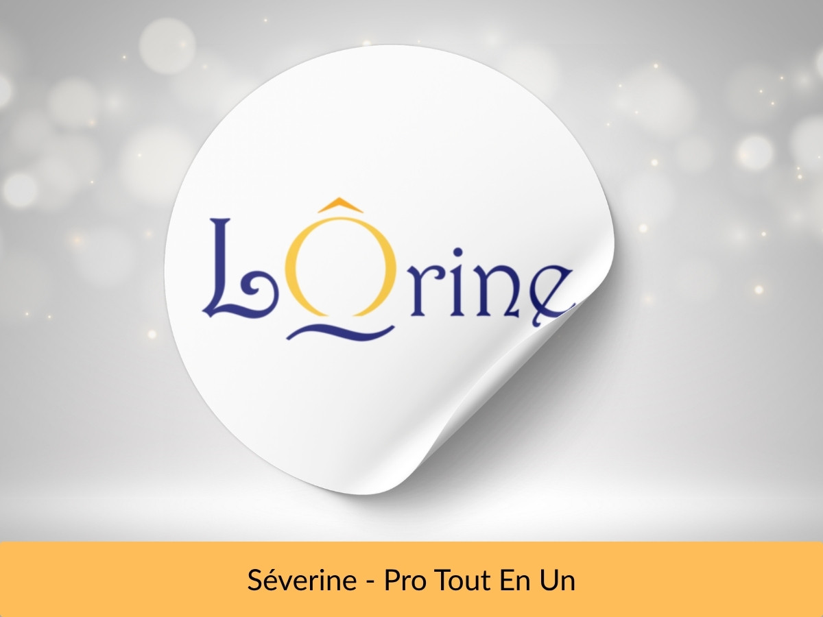 Présentation de la réalisation web de Lôrine par Pro Tout En Un Présentation de la réalisation web de Lôrine par Pro Tout En Un